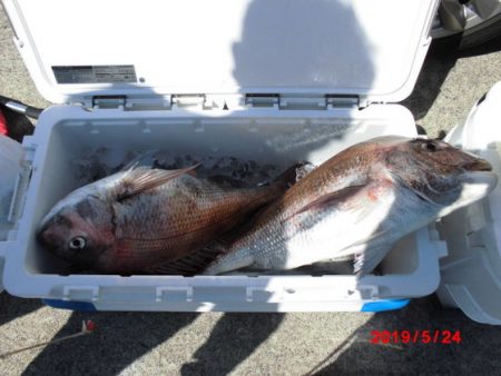 大進丸(新潟) 釣果