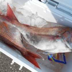 こうゆう丸 釣果