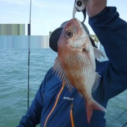 遊漁船 幸友丸 釣果