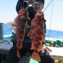 真祐丸 (しんゆうまる) 釣果