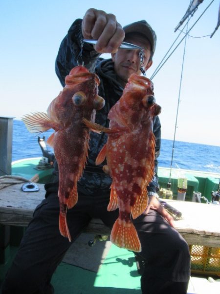 真祐丸 (しんゆうまる) 釣果