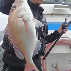 遊漁船 新鋭丸 釣果