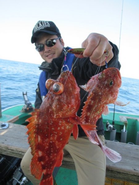 真祐丸 (しんゆうまる) 釣果