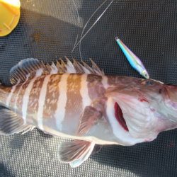 真祐丸 (しんゆうまる) 釣果