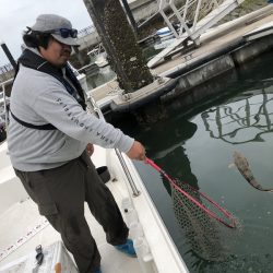 Magic（マジック） 釣果