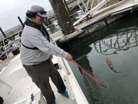 Magic（マジック） 釣果