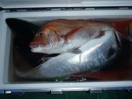 第二むつ漁丸 釣果