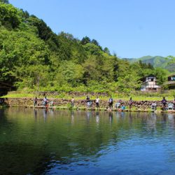 小菅トラウトガーデン 釣果