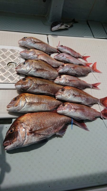 遊漁船 幸友丸 釣果