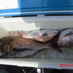 大進丸(新潟) 釣果