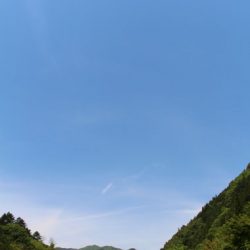 小菅トラウトガーデン 釣果