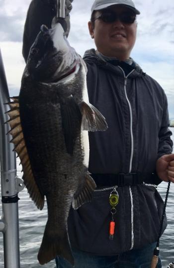 シーマジカル 釣果