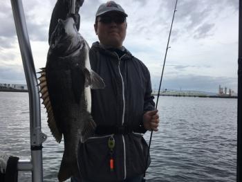 シーマジカル 釣果