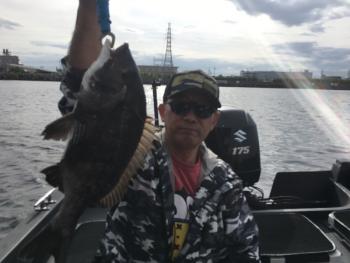 シーマジカル 釣果