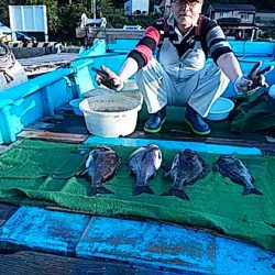 勝丸渡船 釣果