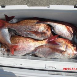 大進丸(新潟) 釣果