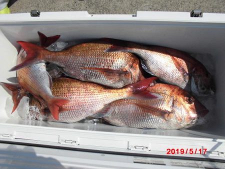 大進丸(新潟) 釣果