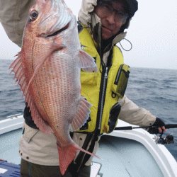 遊漁船ブルーウッズ 釣果