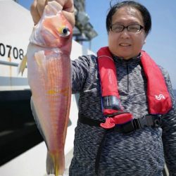 泰丸 釣果