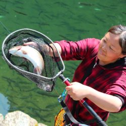 小菅トラウトガーデン 釣果