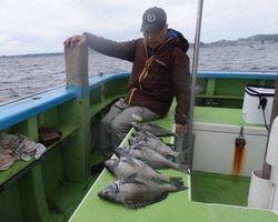 久里浜黒川本家 釣果