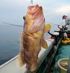松福丸 釣果