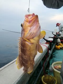 松福丸 釣果
