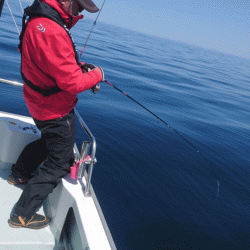 遊漁船ブルーウッズ 釣果