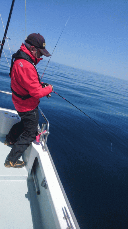 遊漁船ブルーウッズ 釣果