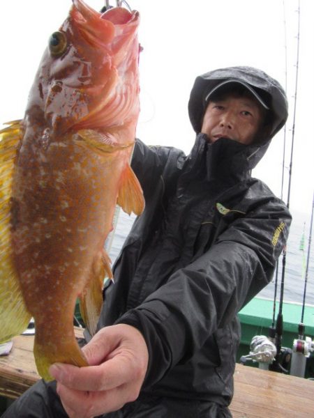 真祐丸 （しんゆうまる） 釣果