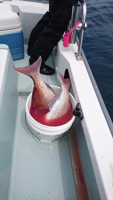 遊漁船ブルーウッズ 釣果