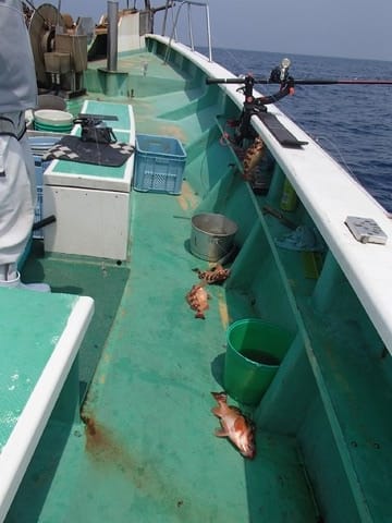 第二むつ漁丸 釣果