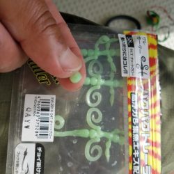 遊漁船 ニライカナイ 釣果