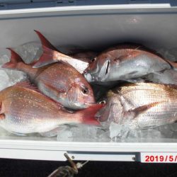 大進丸(新潟) 釣果