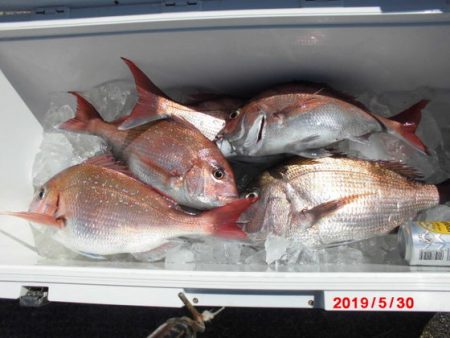 大進丸(新潟) 釣果