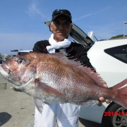 大進丸（新潟） 釣果