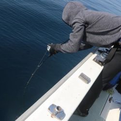 スカイマリン 釣果