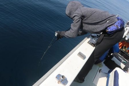 スカイマリン 釣果