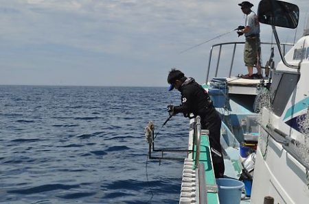 八海丸 釣果