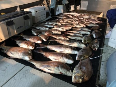 幸風（さちかぜ） 釣果