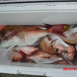 大進丸(新潟) 釣果