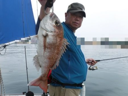 遊漁船 幸友丸 釣果
