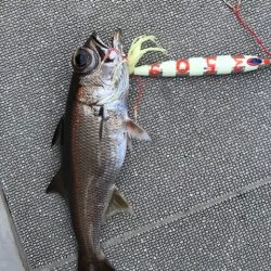 へいみつ丸 釣果