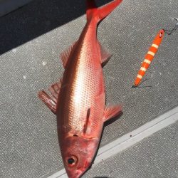 へいみつ丸 釣果