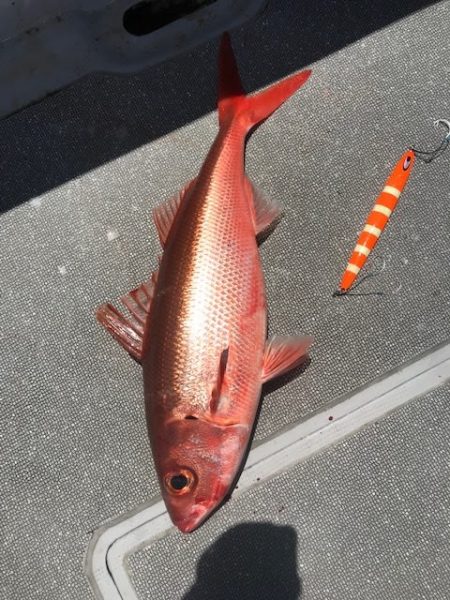 へいみつ丸 釣果