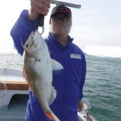 遊漁船 幸友丸 釣果