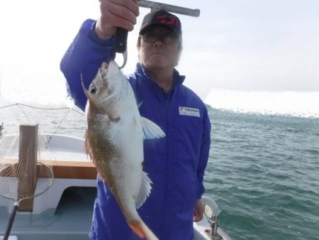 遊漁船 幸友丸 釣果