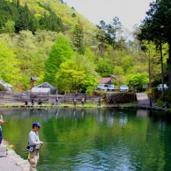小菅トラウトガーデン 釣果