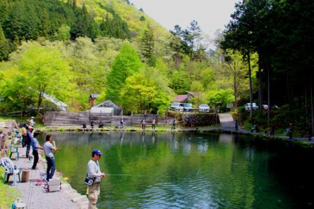 小菅トラウトガーデン 釣果