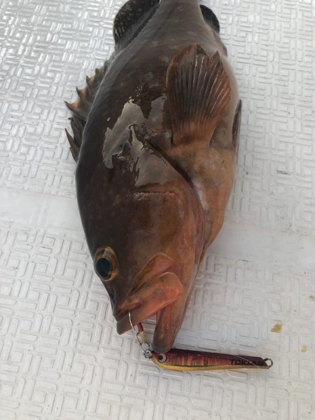 Magic(マジック) 釣果